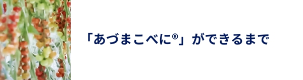 「あづまこべに®」ができるまで